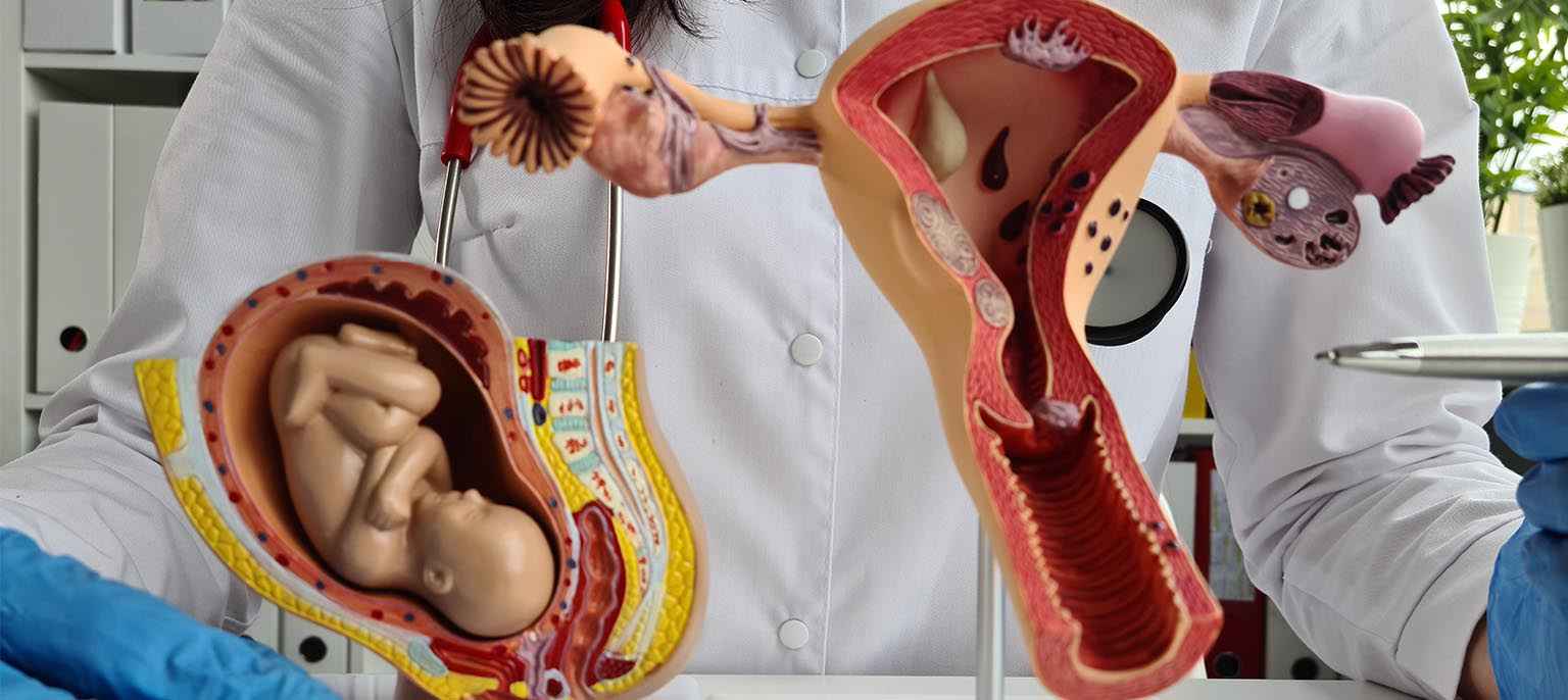 Adenomyosis Treatment