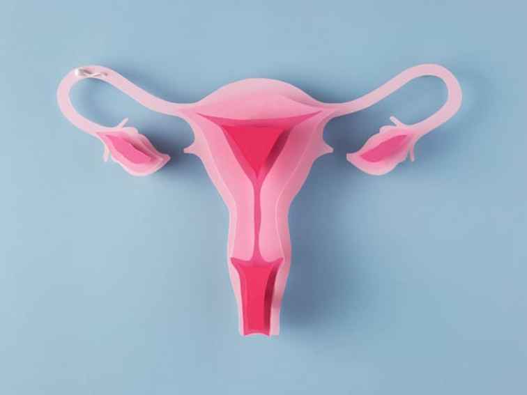 Cervical Insufficiency – Causes, Symptoms & Treatment