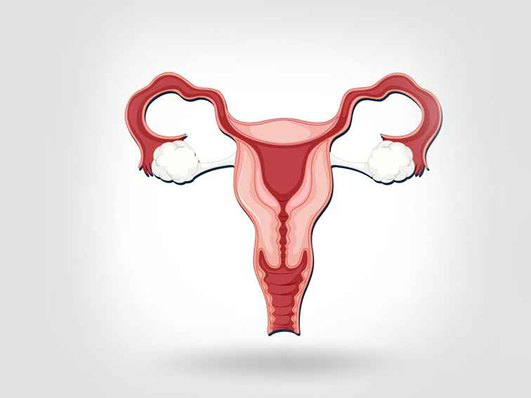Endometrial Hyperplasia