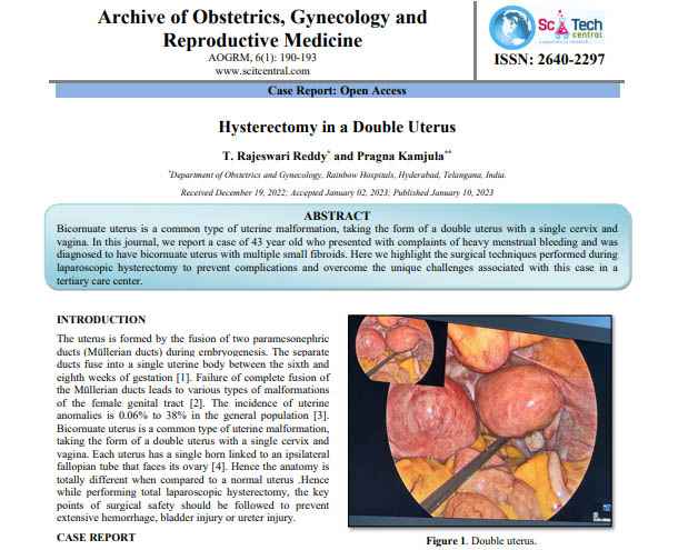 Hysterectomy in a Double Uterus
