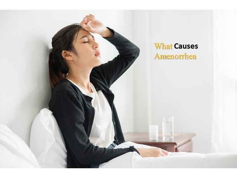 Amenorrhea (Absence of Period or Menstruation)